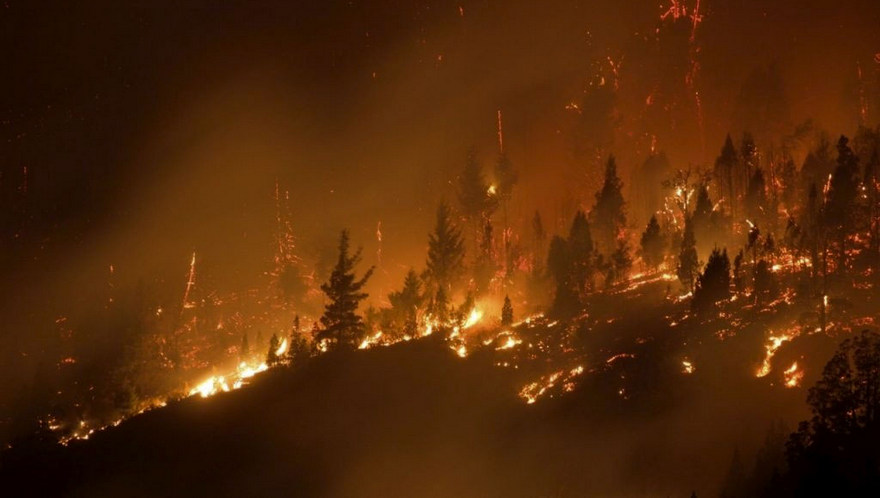 La AFIP da medidas de alivio para los afectados por incendios forestales: cómo acceder