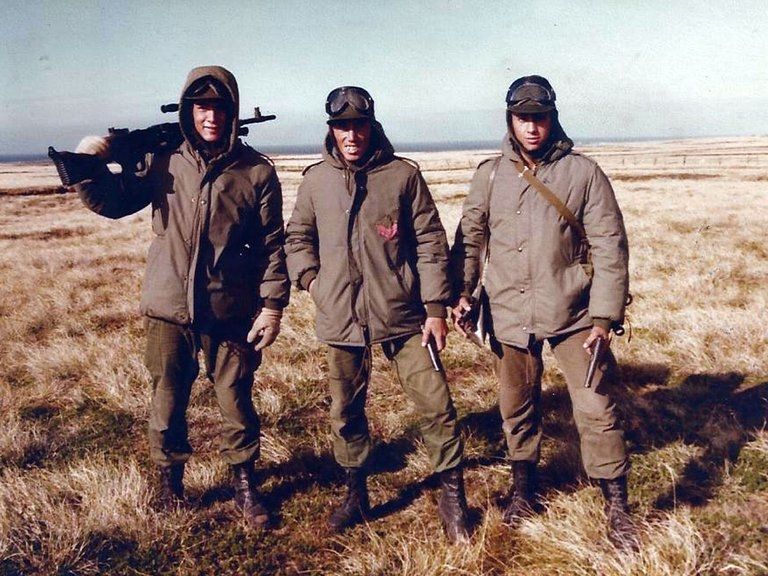 La guerra de Malvinas