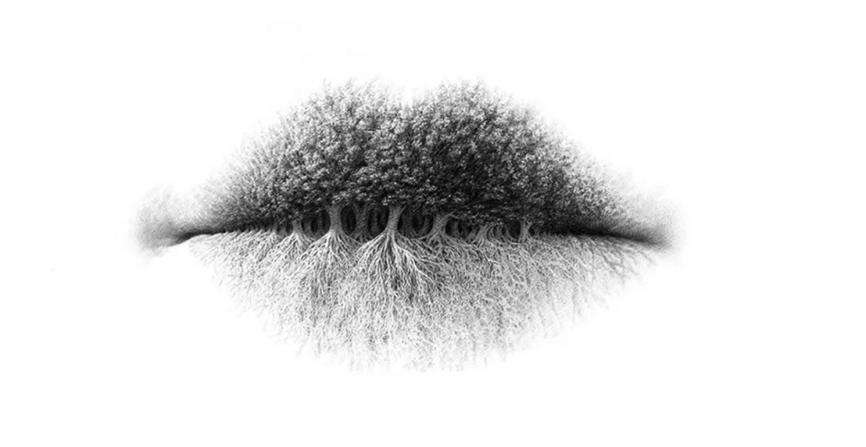 ¿Viste árboles, raíces o labios? Este apasionante test revela detalles ocultos tu personalidad