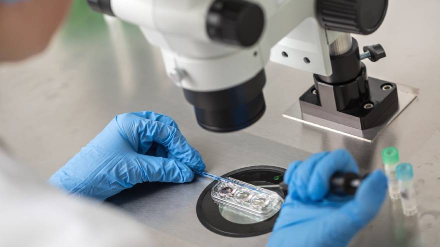 La Justicia ordenó la cobertura integral del tratamiento de reproducción asistida, que incluye la gestación solidaria