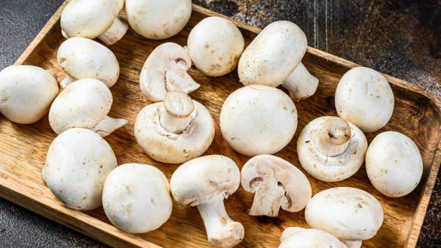 Esta variedad de hongos también forman parte del listado de alimentos con vitamina D