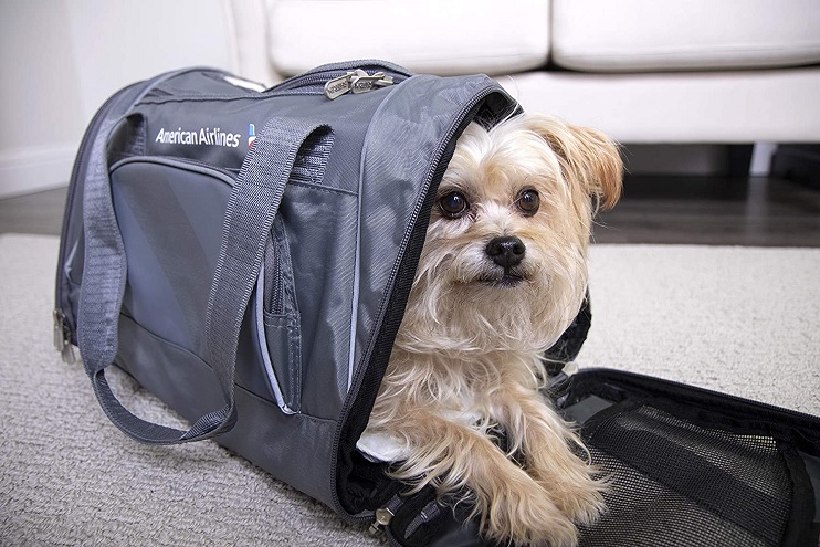 Se estima que en el AMBA 7 de cada 10 familias tienen una mascota