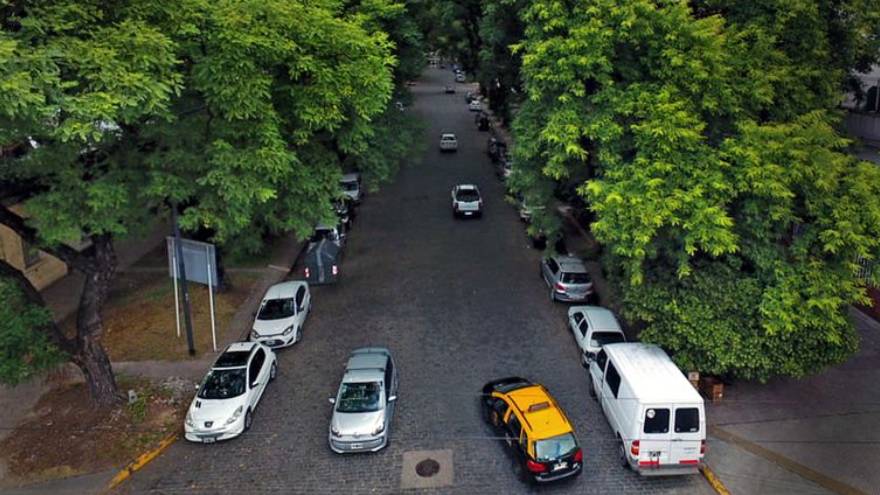 Plantar árboles es la principal medida