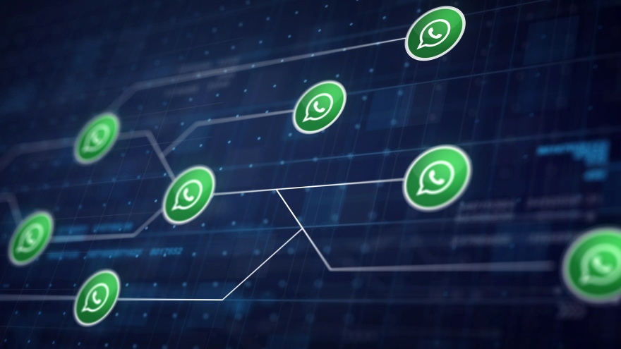 WhatsApp actúa como una red social para millones de personas.