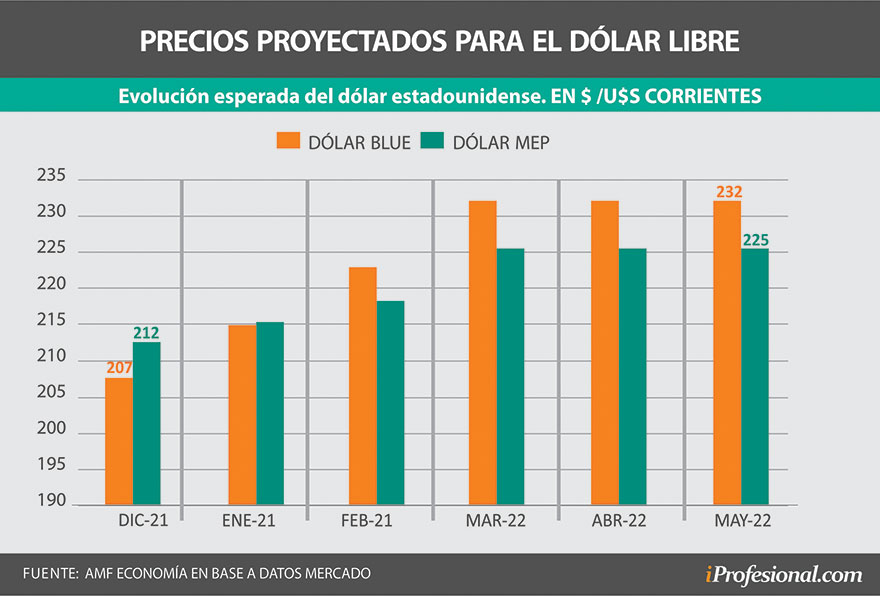 Para mayo del 2022, por la liquidación de divisas del agro, se espera que el precio del dólar libre se ubique en torno a los $230.