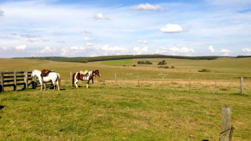 Los argentinos, entre los inversores extranjeros con mayor interés en los campos uruguayos.