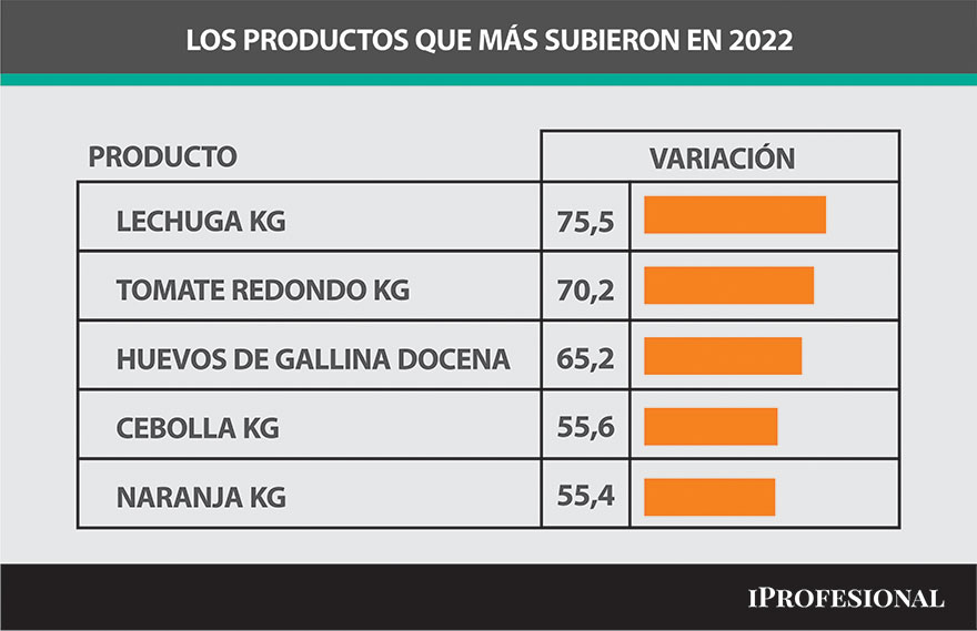 Los productos que más subieron en 2022