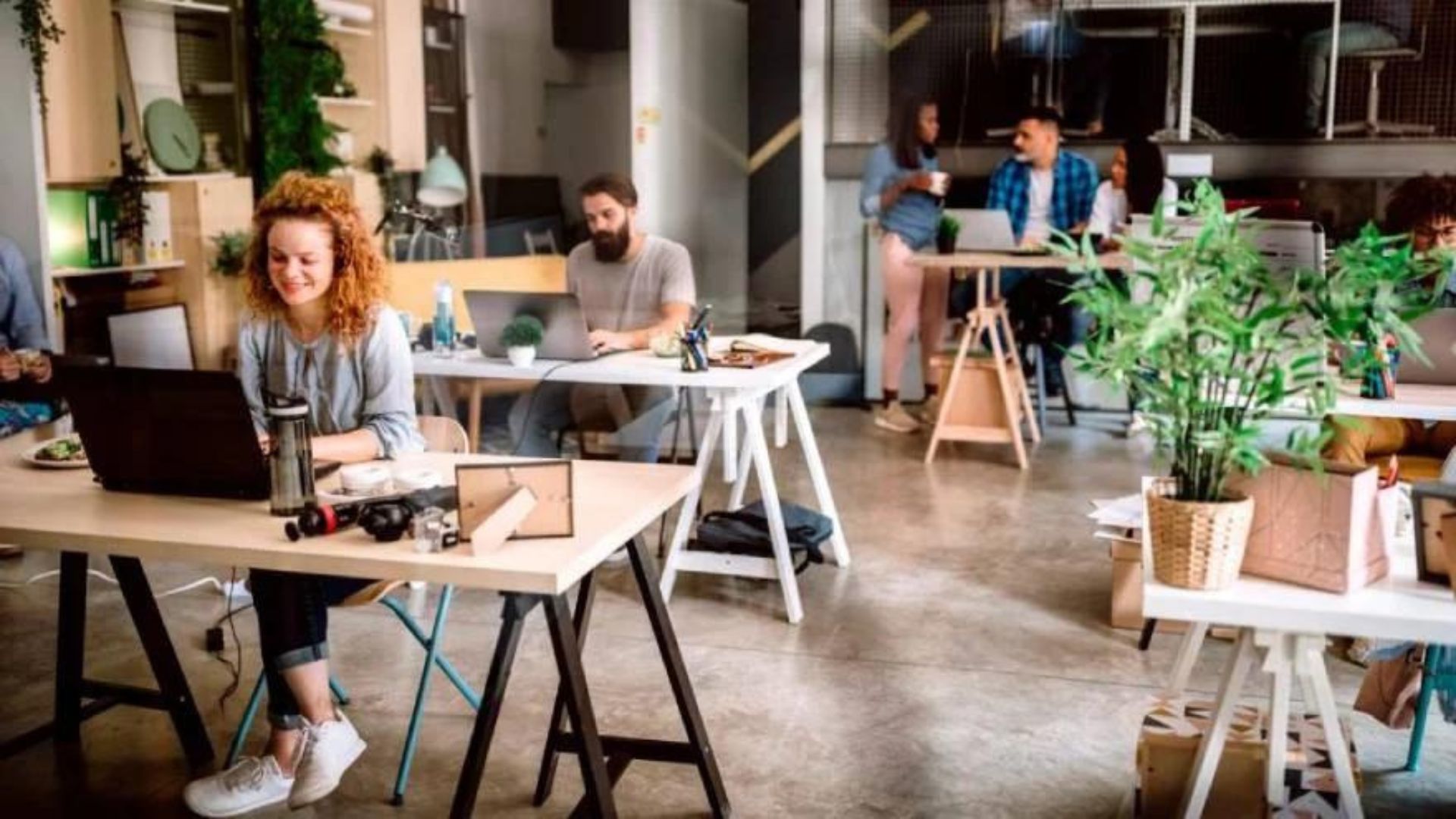 Irse a vivir al sur: aumenta la oferta de espacios de coworking en las principales ciudades de la Patagonia