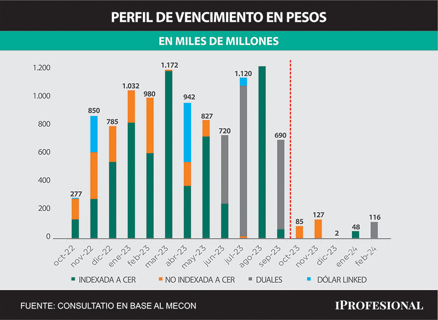 Preocupa el perfil de vencimientos de la deuda, y el resultado de las licitaciones será clave para el rumbo de los dólares libres