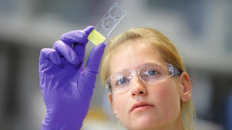 Este nuevo fármaco permite combatir el cáncer