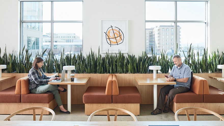 WeWork reducirá el personal en locaciones que performan menos de lo esperado
