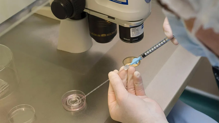 La ingeniería genética, otro punto de controversia.