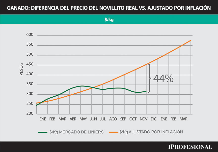 La actualización del precio de la carne crece por debajo de la inflación