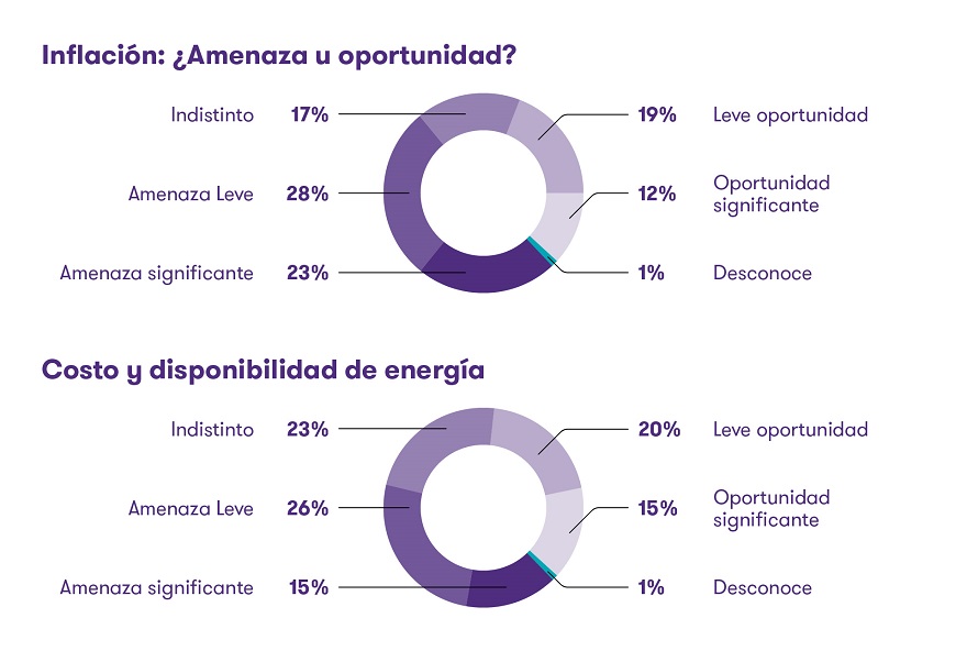 Medidas de las empresas para mitigar la inflación (Fuente: Grant Thornton)