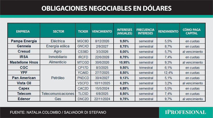 Existen distintos Obligaciones Negociables en dólares emitidas por distintas empresas.