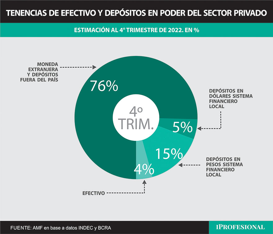 De la tenencia de efectivo y depósitos de privados, el 76% está en moneda extranjera fuera del sistema nacional.