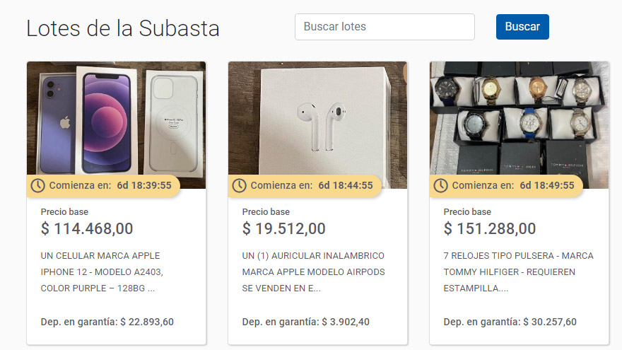 Algunos de los productos subastados en la plataforma de Banco Ciudad.