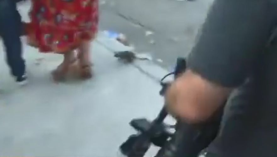 El roedor causó pánico entre los presentes