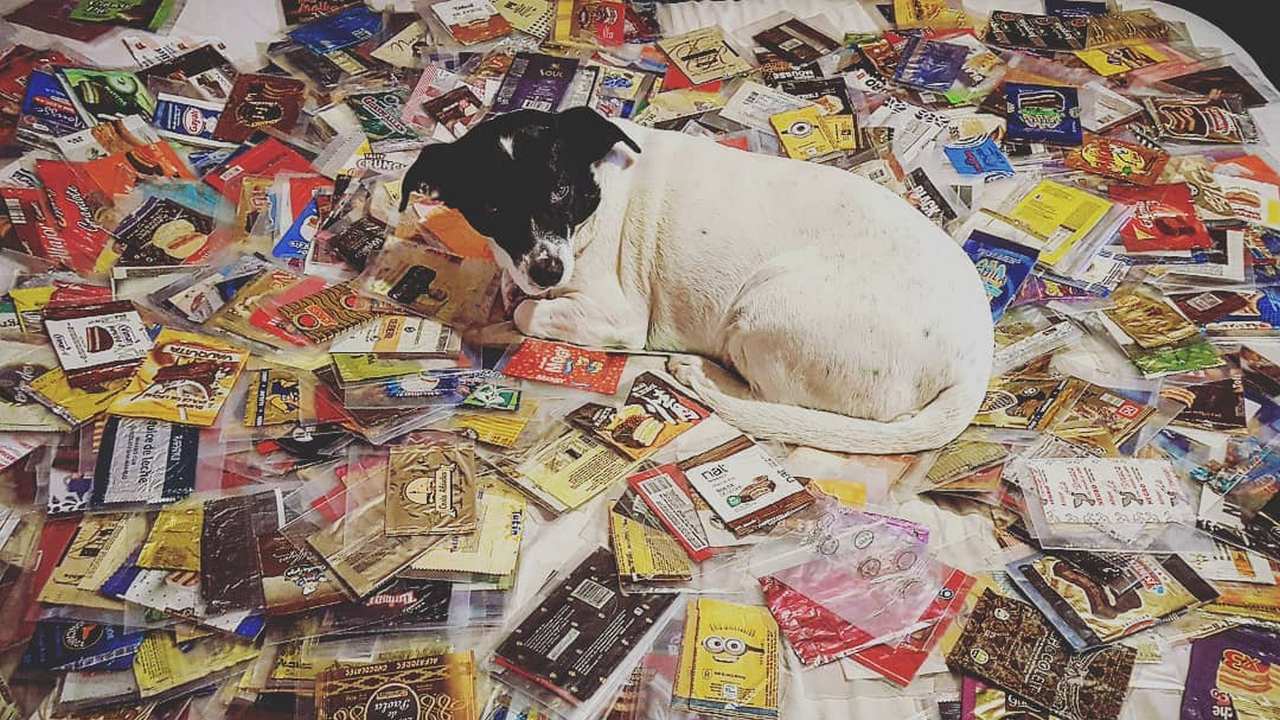 Hasta donde Lucas llegó a contar, tiene 4.400 envoltorios de alfajores tanto de argentina como del exterior