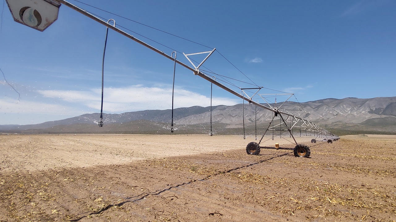 Soluciones de riego de Kilimo en México