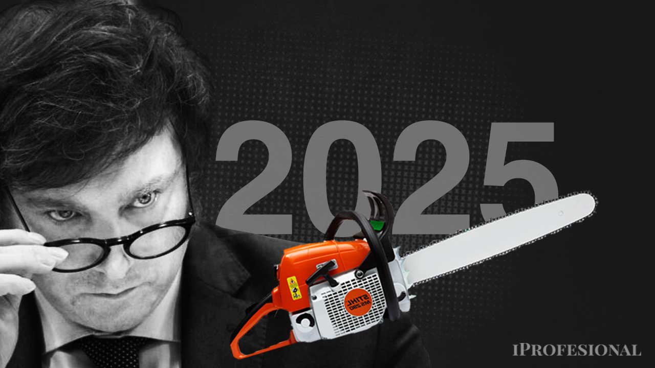 En febrero, otro proyecto ganó el debate y la motosierra se quedó sin nafta momentáneamente