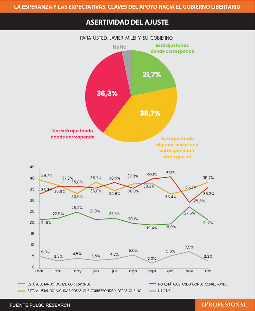 La evaluación del electorado sobre la precisión del ajuste fiscal será un tema clave para Milei  