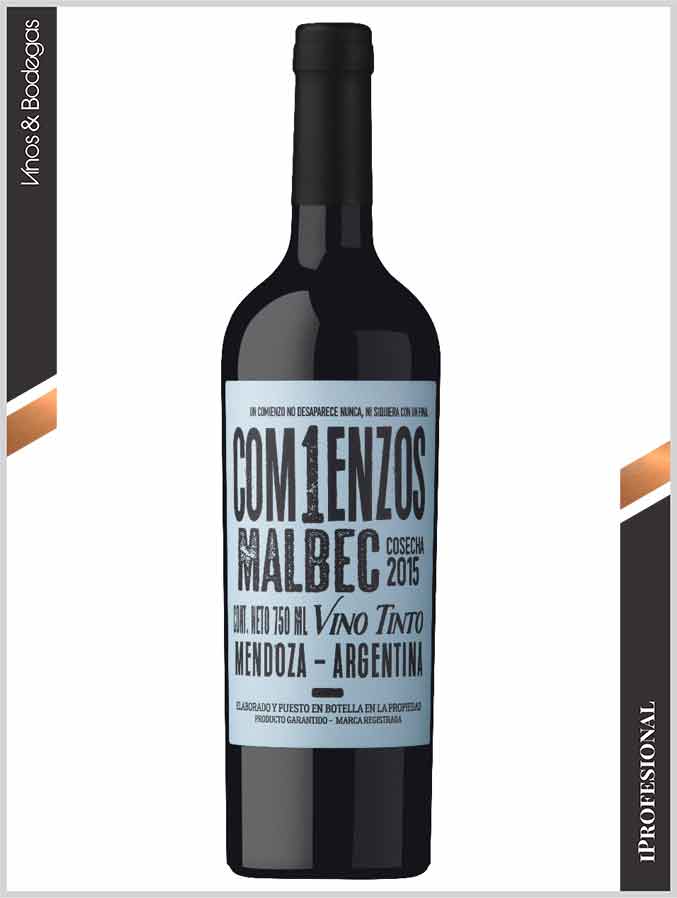 Comienzos