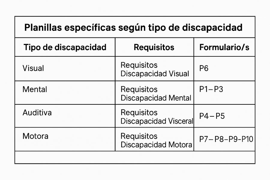 Las planillas según cada tipo de discapacidad