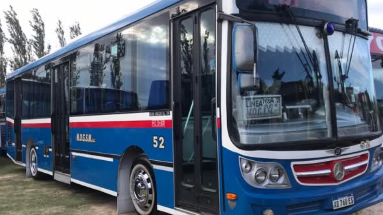 MOGSM S.A. enfrenta una situación crítica que podría derivar en una profunda reestructuración