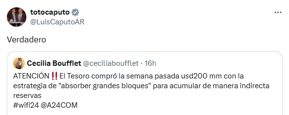 El mensaje de Luis Caputo en el que confirmó que el Tesoro compró u$s200 millones para reservas