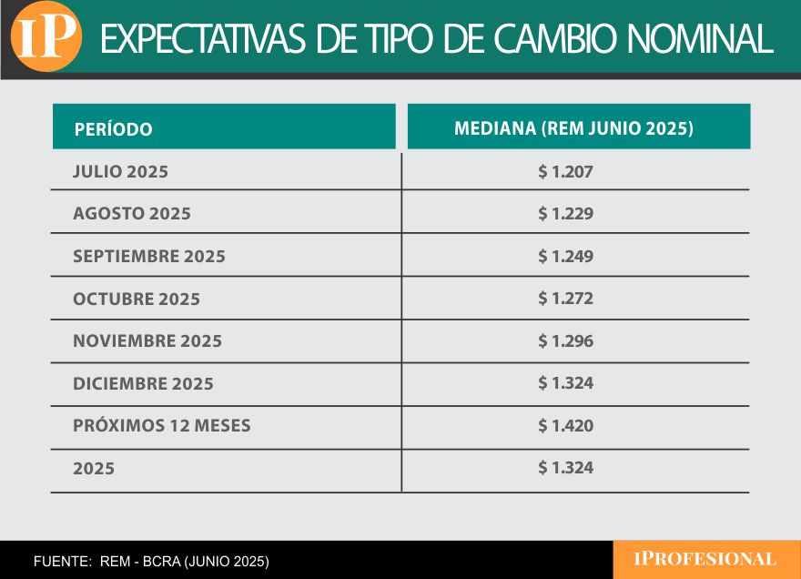 El precio de dólar para fin de año previsto es de $1.324, según el REM del Banco Central.