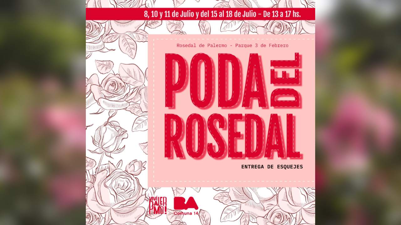 El Gobierno de la Ciudad entregará esquejes de rosales a los vecinos estos días