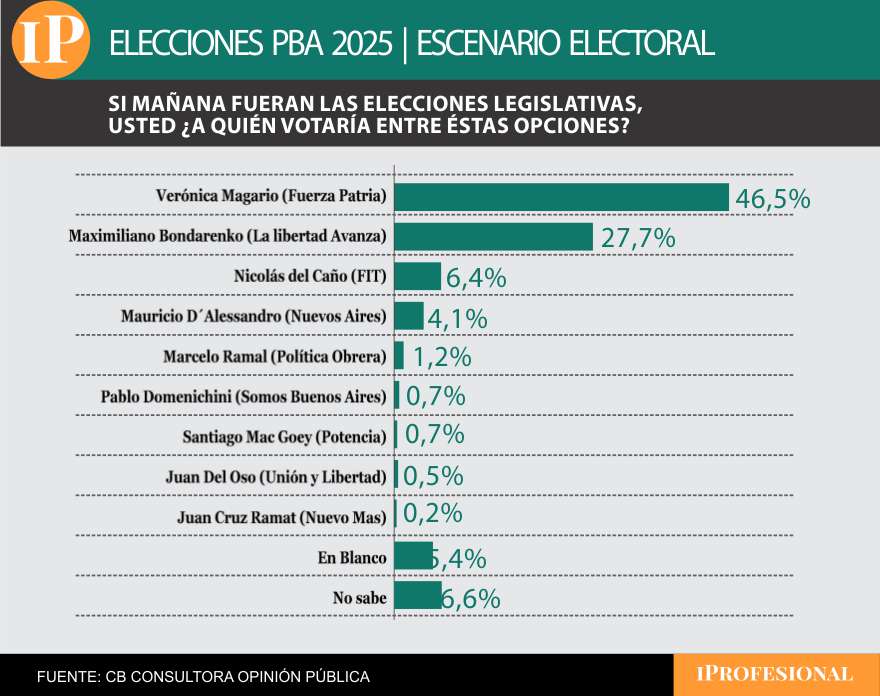 El peronismo exhibe su poderío con casi 20 puntos de diferencia sobre LLA en el sur del conurbano