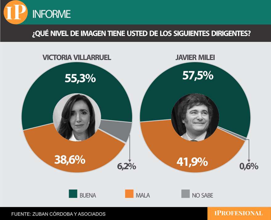 Milei supera a su vice en imagen positiva, pero también presenta una negativa más alta