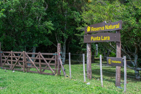 Se trata de una de las reservas más biodiversas del este bonaerense