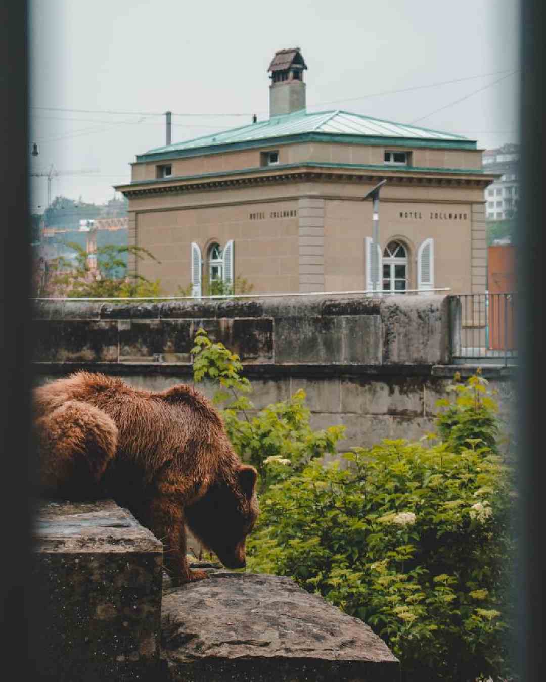 En Berna, Suiza, te podés alojar en el exclusivo hotel Zollhaus, con una sola suite. 