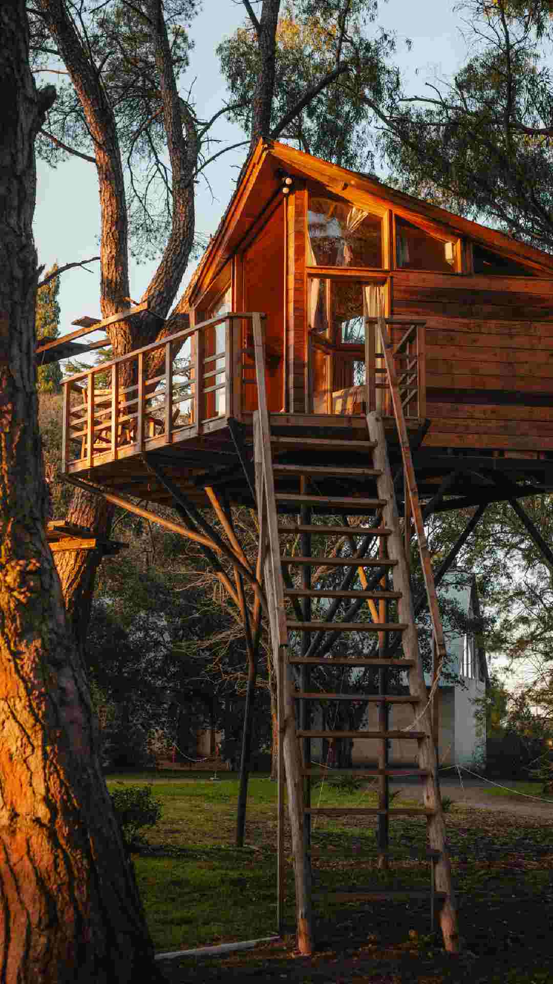 El 'hotel del árbol', en Tandil, tiene cabañas sobre las copas de árboles centenarios