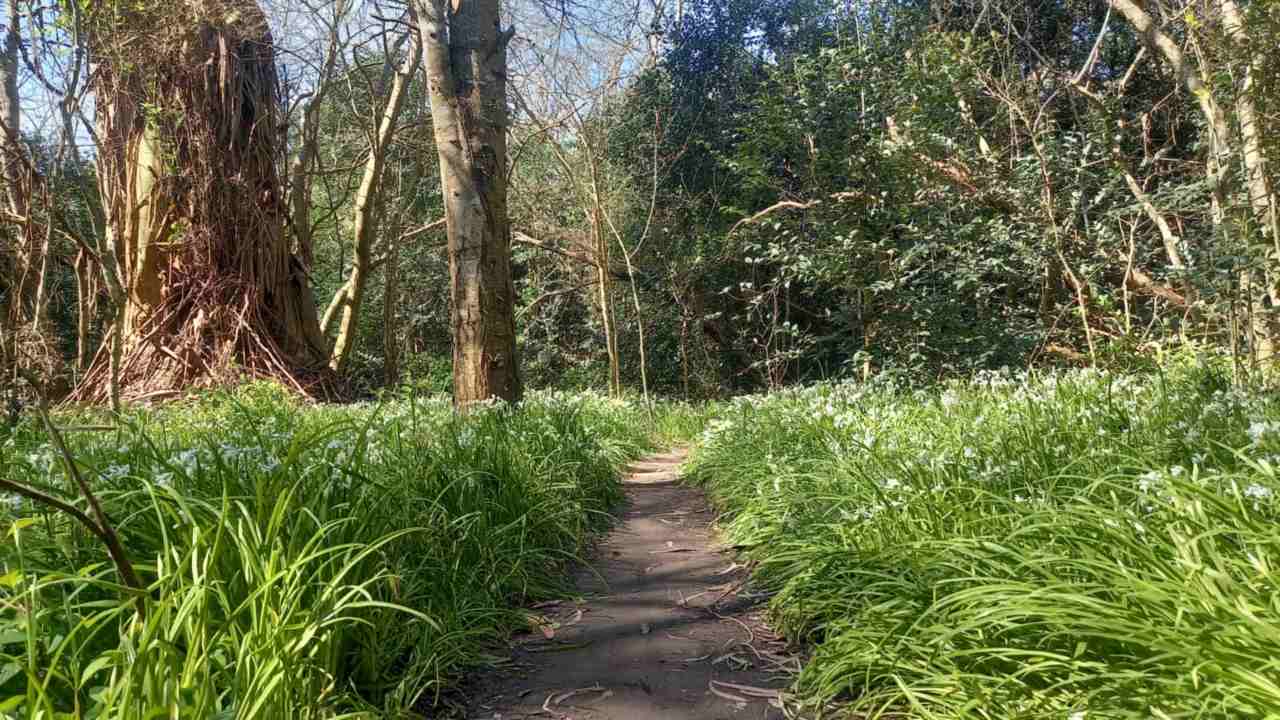 Sus 10.248 hectáreas invitan a caminar, pedalear y descubrir tesoros históricos y naturales