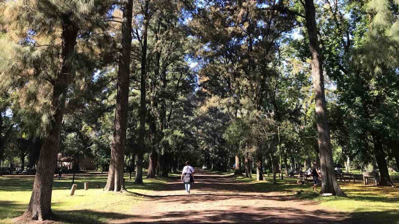 Bosques de robles, ceibos y talas ofrecen trekking, avistaje de fauna y espacios para picnic