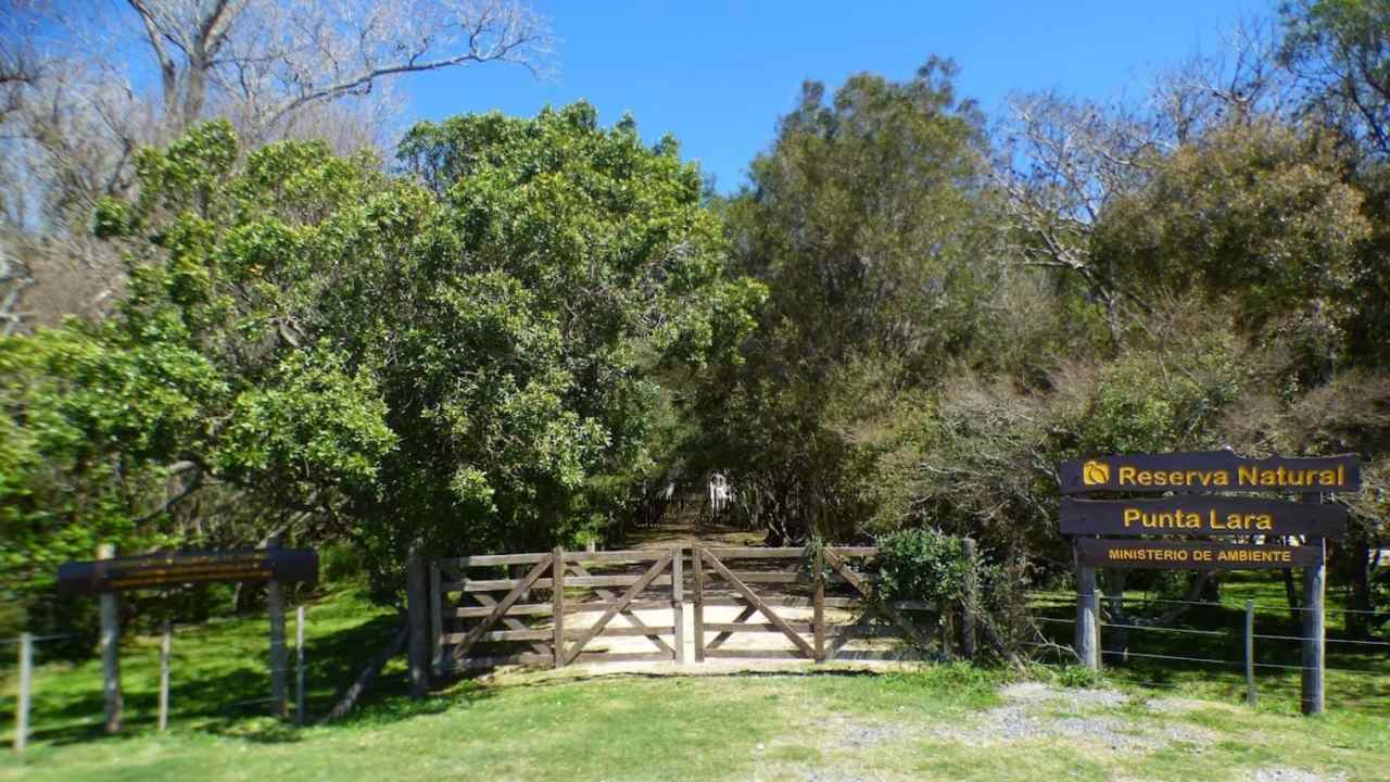Playas, humedales y selva ribereña crean un entorno ideal para caminar y observar aves