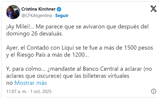 Expresidenta critica medidas de Milei y apunta a la brecha cambiaria en el marco electoral