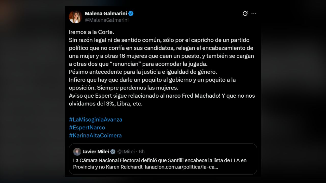 El mensaje de Malena Galmarini en redes tras la decisión de la CNE sobre Santilli