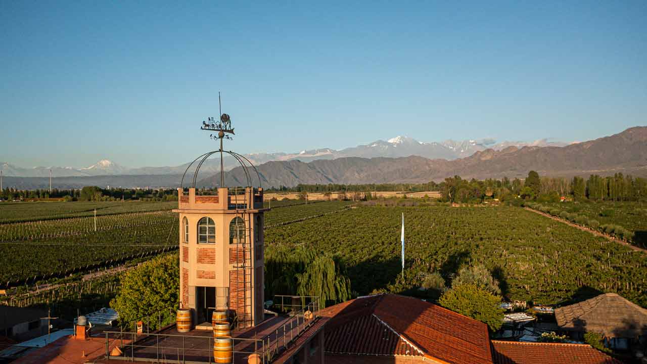 Viñedos de Kaiken Wines