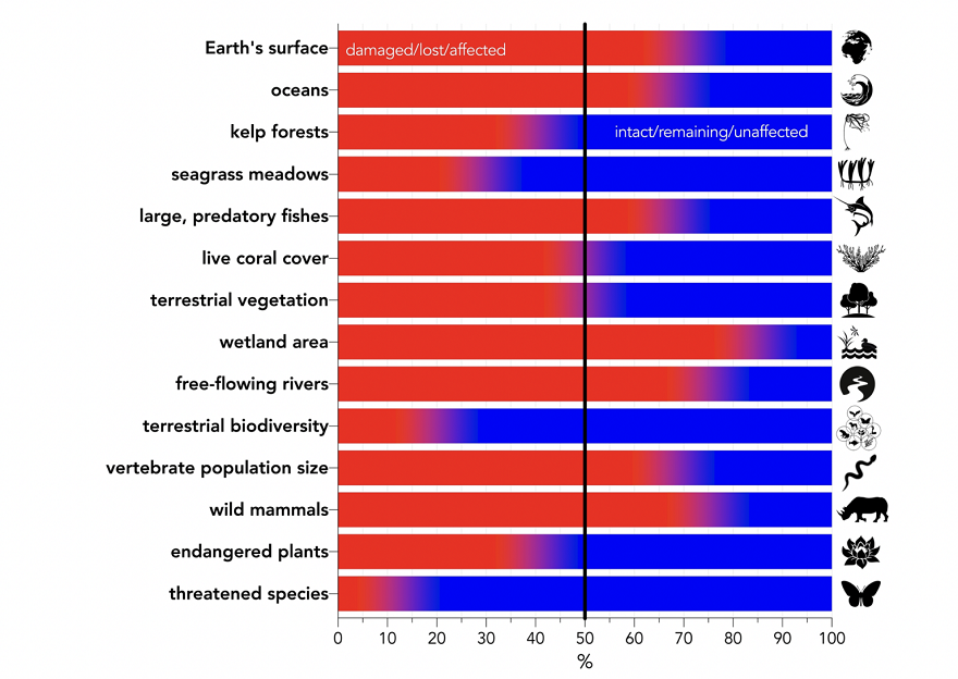 Impacto ecológico según la Universidad de Flinders, Stanford y UCLA
