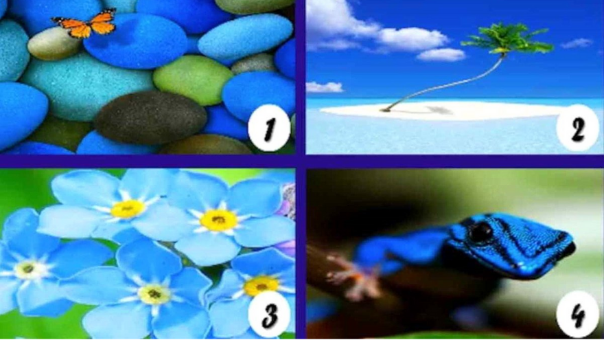 Si el azul es tu color preferido, este es tu test. Elegí una imagen y descubrí lo que revela sobre vos
