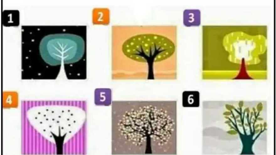 Mirá la imagen y elegí qué árbol te gusta más. El elegido revelará aspectos desconocidos de tu personalidad