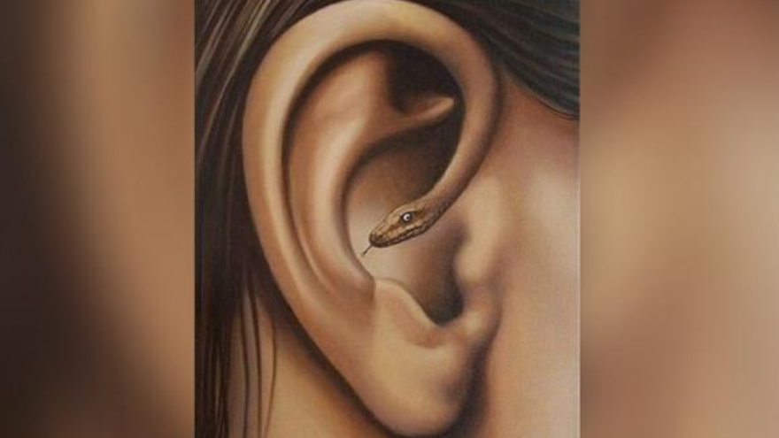 ¿Qué viste primero: una oreja o una serpiente?