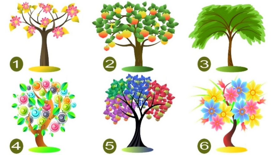 Elegí el árbol que más te atraiga y descubrí lo que revela tu elección