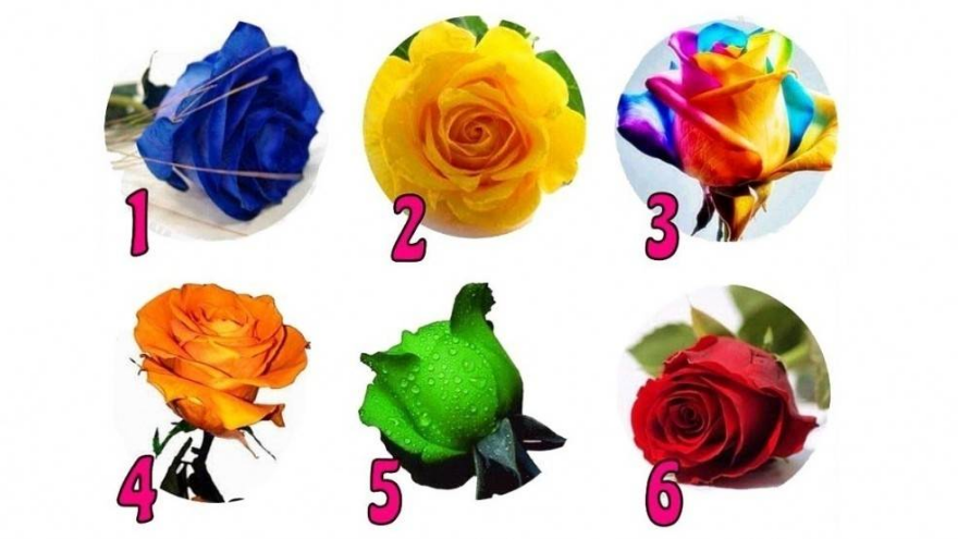 Elegí una rosa y descubrí qué tiene para revelar sobre tu personalidad