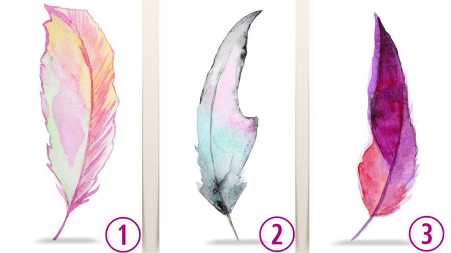 Test de las plumas: tu favorita esconde qué será de tu vida en marzo
